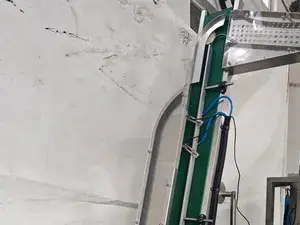 Elevatore magnetico
